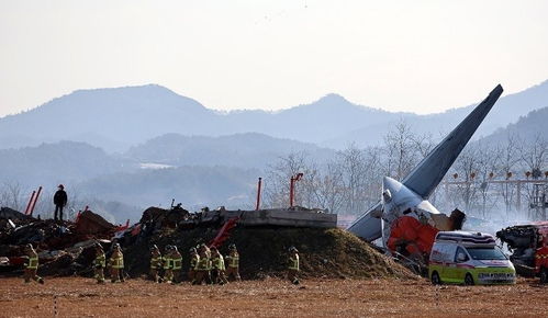 #韩国空难#韩国客机着火179人遇难，盘点世界重大空难史