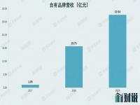 雷军占石头科技多少股份_石头科技是干什么的