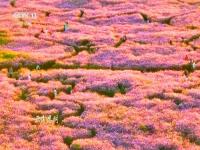 文化中国行看大雪节气_文化中国行·国宝说节气｜大雪，赴一场冬日的风雅之约