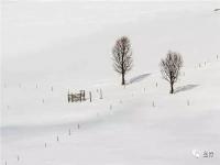 古诗画中的大雪_大雪·万物冬藏待春归 赏一场画中飞雪丨文化中国行