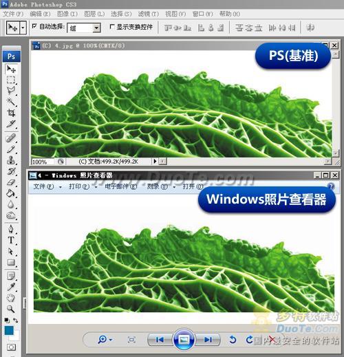 用什么看CMYK印刷色？五款主流看图软件横评