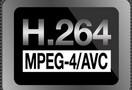 H.264超Flash成第一网络视频格式 份额达66%