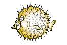 类Unix操作系统OpenBSD 4.7 发布