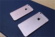 iPhone 6S玫瑰金版怔图赏