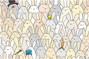趣味考眼力：复活节兔群找彩蛋