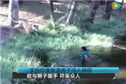 男子闯入狮园大喊“过来宝贝” 狮子懵逼了