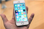 低价iPhone SE是拖累苹果的罪魁祸首？