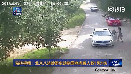 北京八达岭野生动物园老虎伤人事件调查结果：不属生产安全责任事故