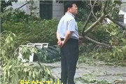厦门大学满目疮痍 校长独自一人巡视台风过后的学校