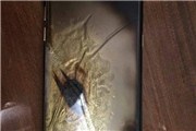 三星Note 7国行爆炸案机主怒骂三星：造谣请告我！