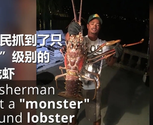 男子钓上“怪物”级14斤大龙虾 虾腿全展开超过一米长【视频】