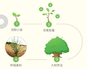 支付宝蚂蚁森林怎么玩 支付宝蚂蚁森林种树浇水得福卡攻略【图】