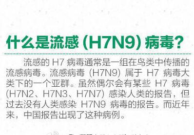 禽流感最新消息2017：1月死亡人数79 如何预防禽流感h7n9？