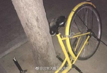 上海共享单车遇阻 政府制定编制共享单车标准