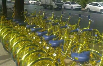 金色共享单车是什么单车？酷骑上海全面上线