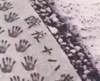 南雪北调什么意思？附梗的来源