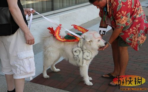 绝对超赞超萌！国外网友发布《大神》Cosplay