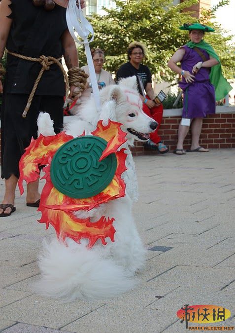 绝对超赞超萌！国外网友发布《大神》Cosplay