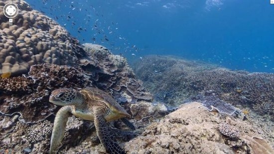 谷歌推出“水下街景” 用户可畅游海底世界