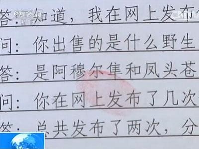 大学生掏鸟16只被判10年版：10万美元卖中东土豪