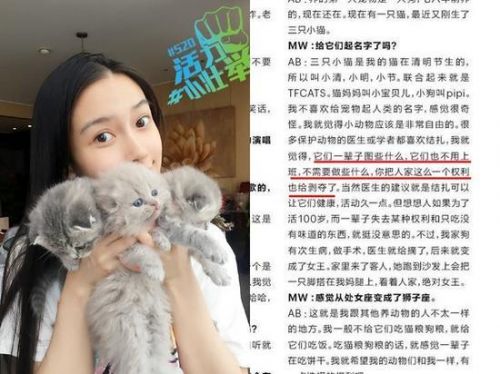 因为反对给猫咪结扎 Angelababy被炮轰无知 