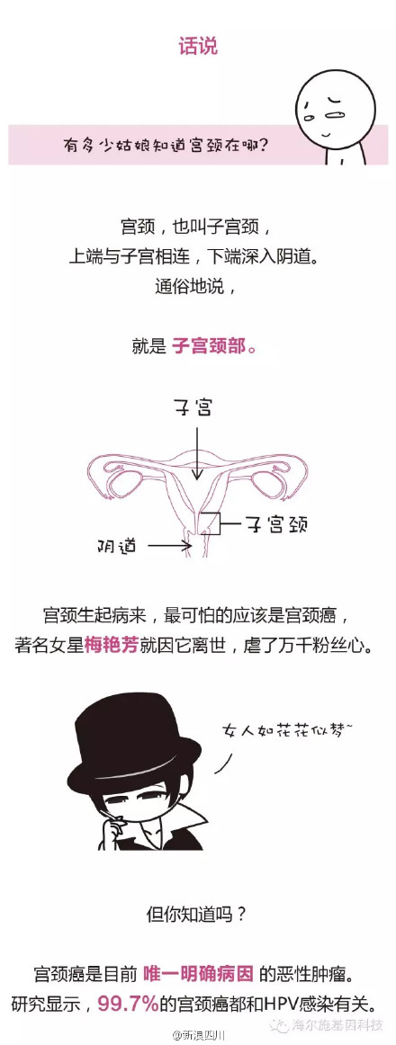 宫颈癌疫苗获准上市 宫颈癌疫苗HPV知识普及及避免方法公开