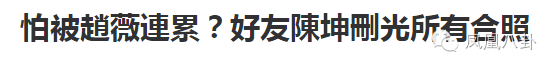 赵薇事件一出事 躺枪的总是陈坤 赵薇和陈坤有什么关系【揭秘图】