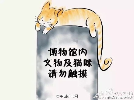 博物馆网红喵将被驱逐 因熊孩子逗猫被抓伤【图】