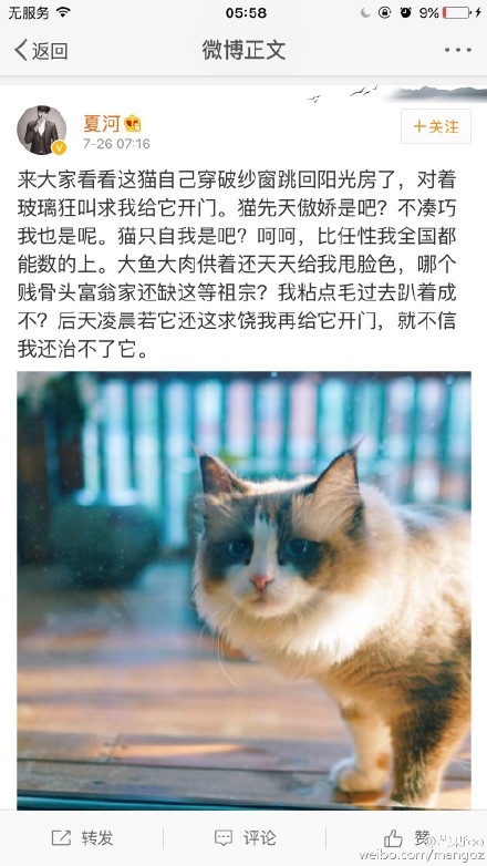 夏河是谁？夏河虐猫事件证据全梳理【图】 曾和洛洛相恋于2011.11分手