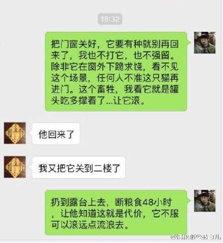 夏河是谁？夏河虐猫事件证据全梳理【图】 曾和洛洛相恋于2011.11分手