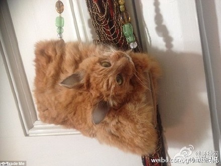 新西兰某公司将死猫做成死猫包包 每天背着尸体出门不瘆人？【组图】