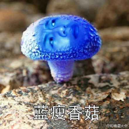 蓝瘦香菇本人照片曝光 南宁小哥引领微博热词蓝瘦香菇【图】