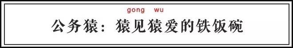 职业绰号大盘点：你是射鸡狮还是攻城狮？