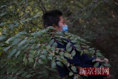 北京遭虎咬女子：网上的视频是不完整的