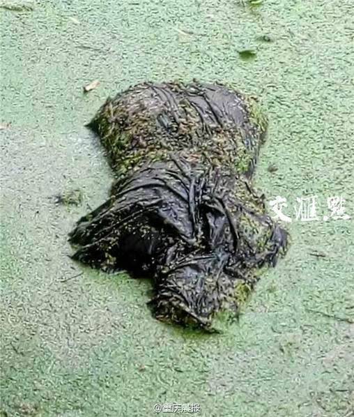 厦门海面发现两具浮尸 尸体被绳子绑在了一起【图】
