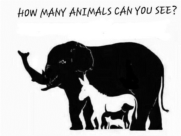 这张图竟然有16种动物！你能找出来吗？