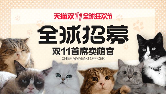 全球征集：天猫双11将选一只猫担任“首席卖萌官”