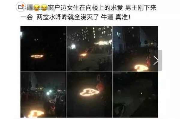 虐狗秀是什么意思？虐狗秀是什么梗？秀恩爱虐狗吗？