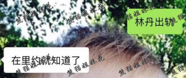 曝林丹谢杏芳早无感情微信截图曝光 被传林丹早于里约奥运出轨