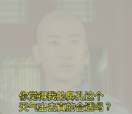 雾霾表情包大全_雾霾还珠格格版表情图免费自取