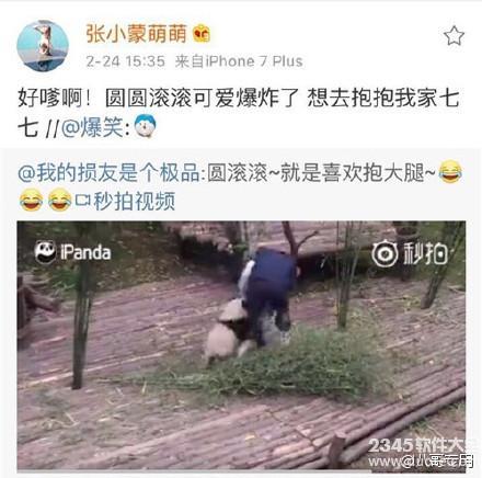 王思聪为新女友张小蒙领养大熊猫萌七 晒恩爱不走寻常路