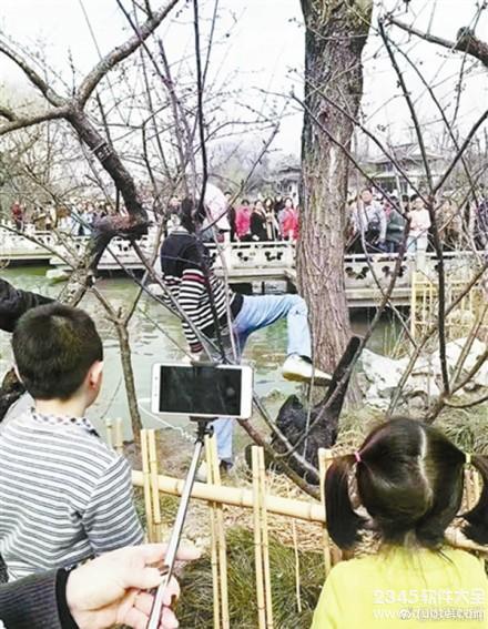 瘦西湖黑天鹅蛋被踩碎事件曝光 瘦西湖景区已报警抓该男子