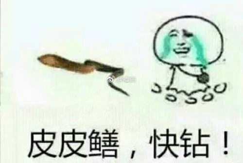 黄鳝直播事件