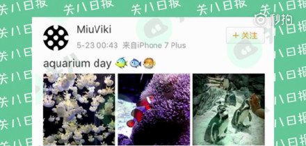 刘洲成林苗水族馆同游？家暴是炒作？