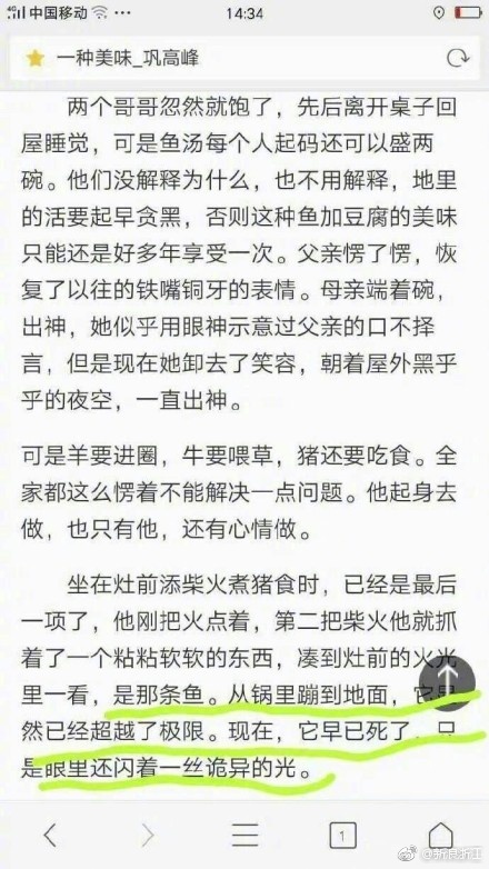 浙江高考语文2017阅读理解打败原作者巩高峰 一丝诡异的光怎么理解？