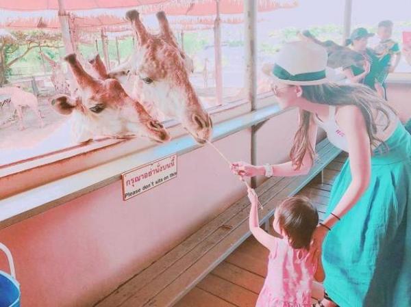 超有爱画面：昆凌带小周周逛动物园携手喂长颈鹿