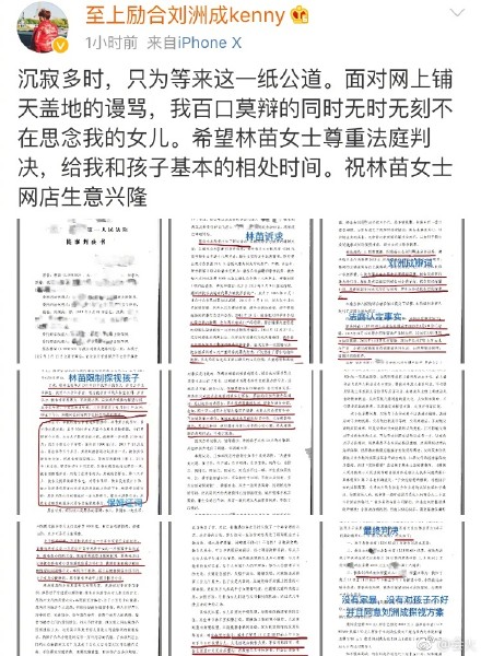 刘洲成家暴事件结果：公开离婚判决书