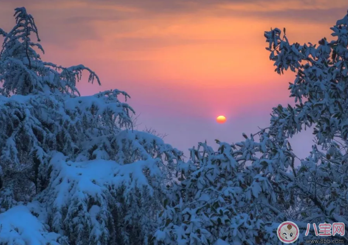 南雪北调什么意思？附梗的来源