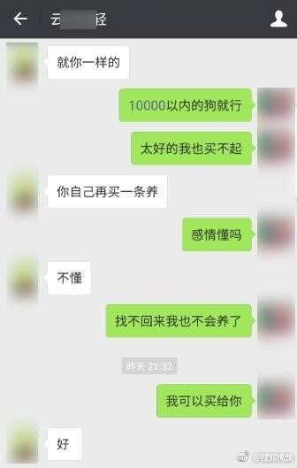 成都柯基走丢？何兴丽是韩江教育的老师？对方索酬不成将狗摔死