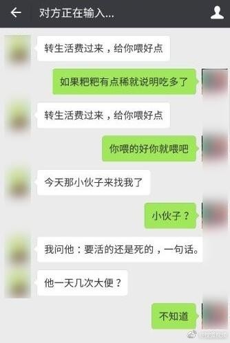 成都柯基走丢？何兴丽是韩江教育的老师？对方索酬不成将狗摔死